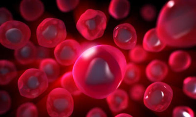 Trattamento con cellule staminali