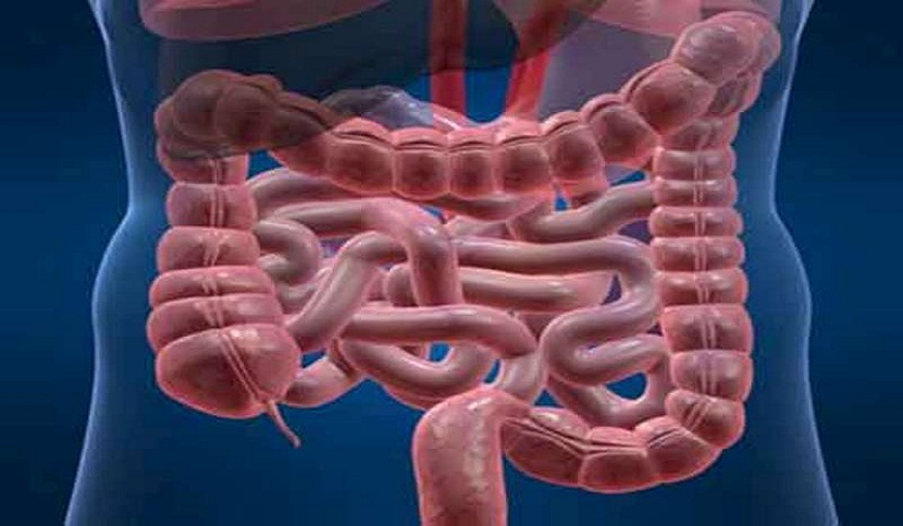 COLONSCOPIA VIRTUALE